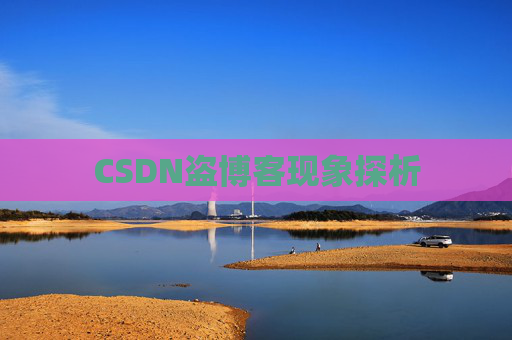 CSDN盗博客现象探析 CSDN盗博客现象探析